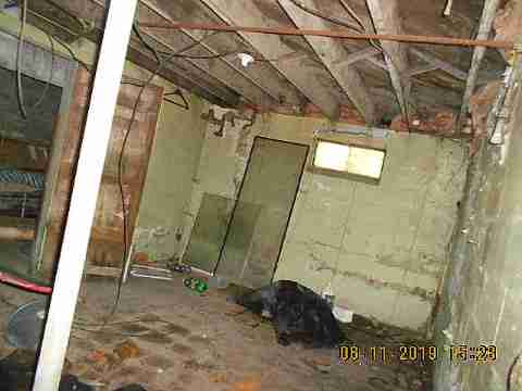 20151 Helen (21)_m.jpg